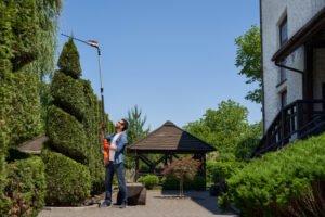 Skilful male landscaper using high altitude hedge trimmer for topiary in park. Side view of focused worker shaping spiral, cutting top of thuja with pro equipment outdoors. Concept of topiary.