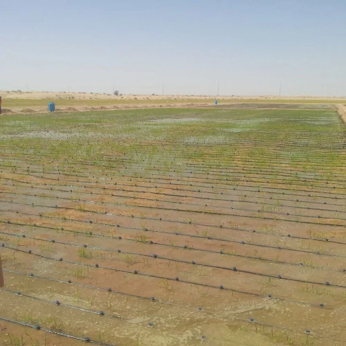irrigationcmp1 02