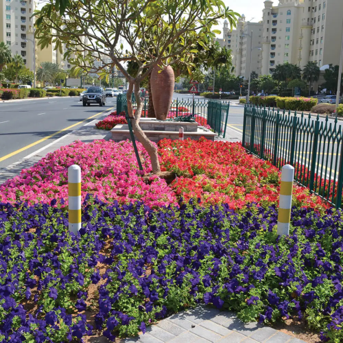 landscape maintainance 2